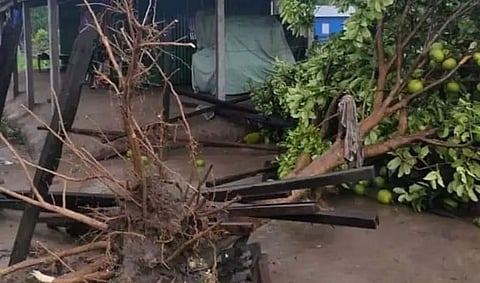 Storm causes extensive damage to property & crops in Kokrajhar