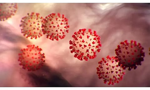 Two more COVID-19 patients detected in Lakhimpur district | 29 May, 2020