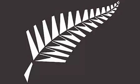 New Zealand Cricket lauds drop in COVID-19 cases in NZ