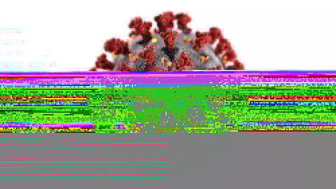 Ninth Mile CRPF camp free of COVID: Inspector General S Upadhya