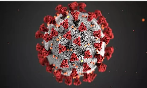Understanding the spread of the SARS-CoV-19 virus