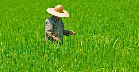 Bhutan government to maintain irrigation channels of Indian farmers