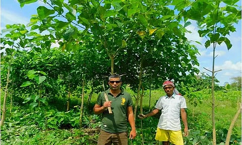 Dhakuakhana youth grows forest by planting over 6,000 saplings