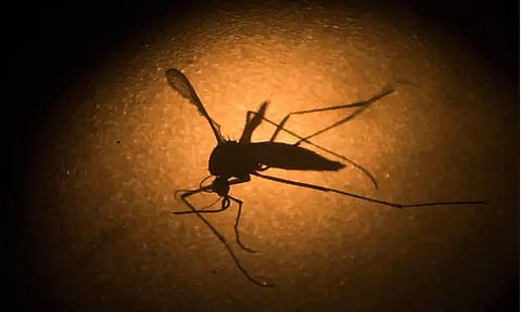 Anti Malaria Month observed at Sagalee in Arunachal Pradesh