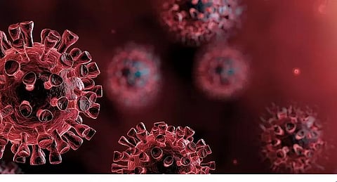 Four more tests positive for COVID-19 in Hailakandi; tally rises to 114