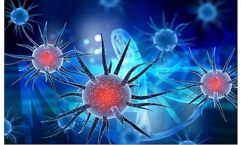 Neutralizing antibodies against COVID virus identified