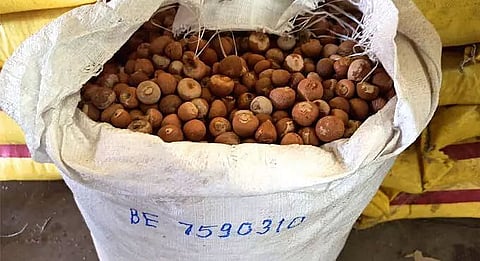 Suspected betel nut smuggling; GRP detains goods train compartments