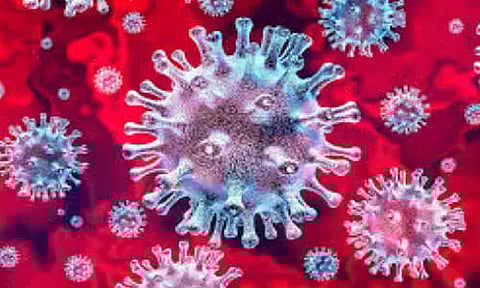 Nagaland registers 17 fresh Covid-19 cases; total 347