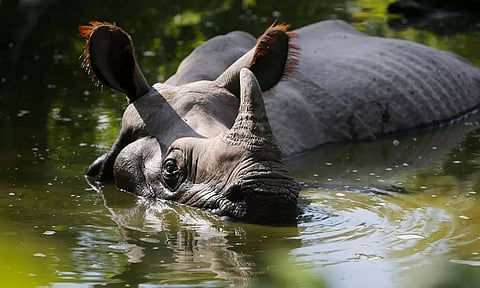 Representational Image