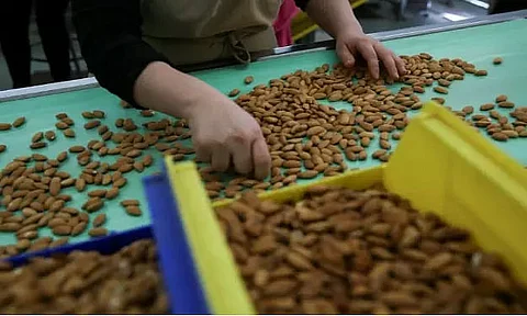 Healthy bites; Dry fruit continues to be one of the healthiest snacks