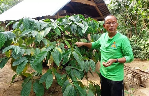 Farmers expose loopholes in State agriculture policy | West Garo Hills