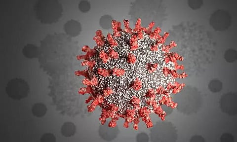 Nagaland registers 23 more Covid 19 cases; total 562