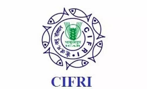 CIFRI Recruitment 2020 for Project Assistant (1 Posts)