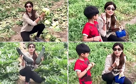 'Have accepted vegetarianism completely': Shilpa Shetty Kundra