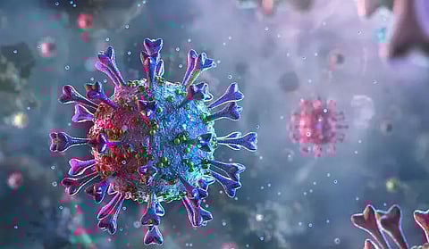 COVID-19 antibodies may last only few months after infection