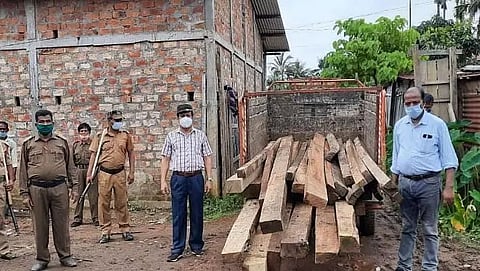 Hailakandi Forest Department launched massive crackdown on timber smugglers