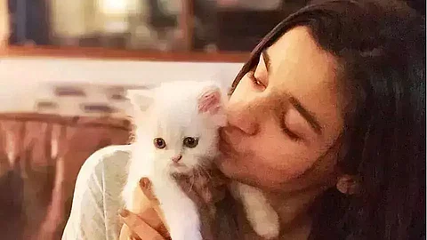 Alia Bhatt Shows her pet cat 'Edward'