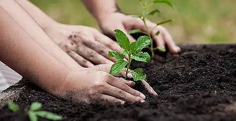 7 Assam Bn NCC cadets to organize plantation drive in Kokrajhar