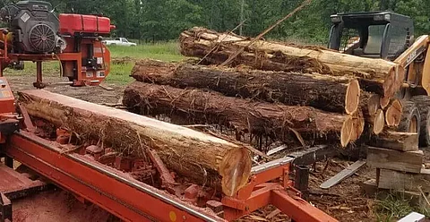 Illegal timber saw mills seized in Barpeta district by forest officials