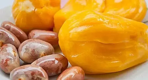 Here are some incredible benefits of jackfruit seeds