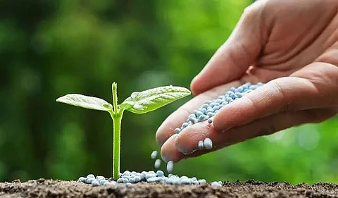 Amidst pandemic situation fertilizers being sold at high price in Golaghat