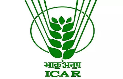 ICAR-NRRI, Hajo Recruitment 2020 for Young Professional-II