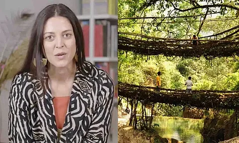 Meghalaya's living root bridges hailed by architect Julia Watson as effective measure against flood