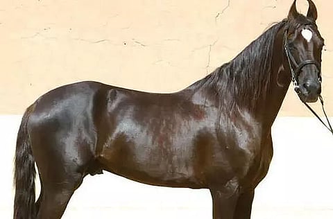 Representative image