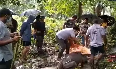 1-year-old rhino calf rescued at Kaziranga; search on for missing mother