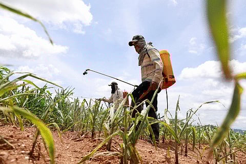 'Complete ban' on Glyphosate demanded