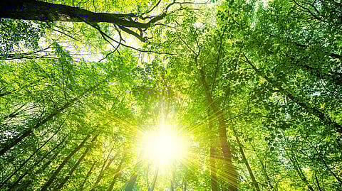 Swachhata action plan programme organized by Green Environment Task Force