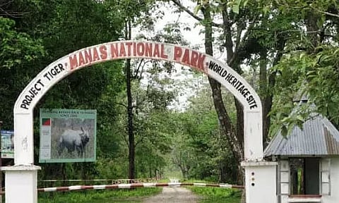 Assam: Man from 'I Love You' market in Bijni held for poaching in Manas National Park