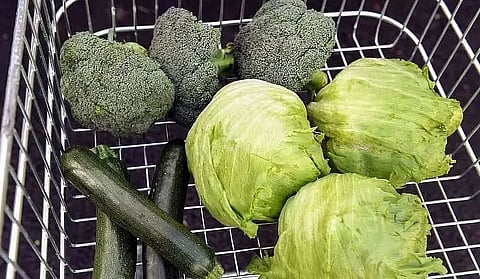 Roing farmers urged to go for organic farming in Lower Dibang Valley