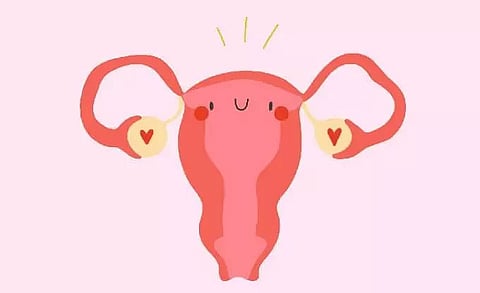 Keeping your vagina clean and healthy during different seasons