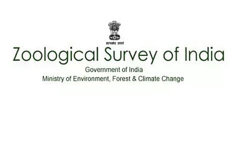 ZSI Recruitment 2020 for Junior Research Fellow/Senior Research Fellow