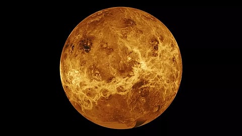 Scientists discover possible signs of life on 'glittering planet' Venus