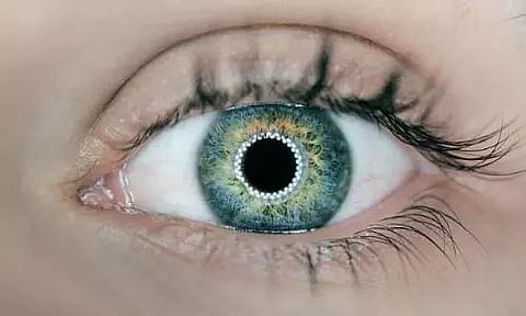 Cure for blindness soon? Check details here