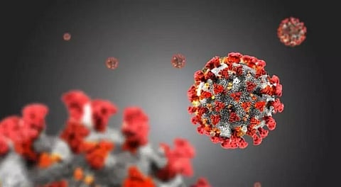 Arunachal COVID-19 tally crosses 9K mark; active cases 2,495