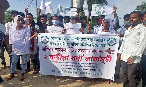 AASAA stages protest in Krishna Behari Tea Estate near Demow