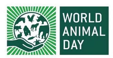 World Animal Day: Animal health cum vaccination camp held in Hailakandi