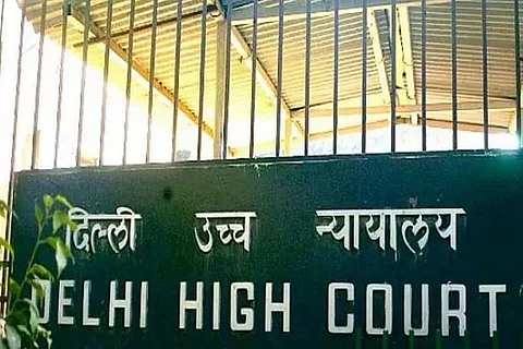 Delhi High Court referred same-sex couple's plea to 2-judge bench
