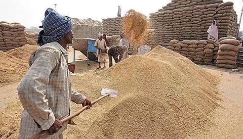 32,12,439 MT paddy purchased from over 2.83 lakh farmers till October 9