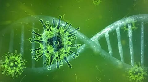 COVID virus can survive on phone screens for four weeks