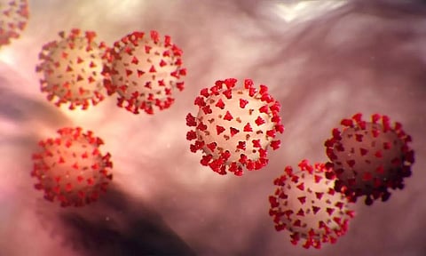 Coronavirus survives longer on nonporous surfaces, hard to control in winters: ACDP