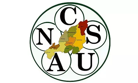 ANCSU intensifies its digital protest, sends over 1 million emails to CM and other govt officials
