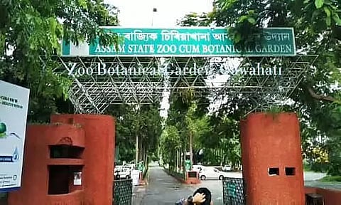 Assam State Zoo