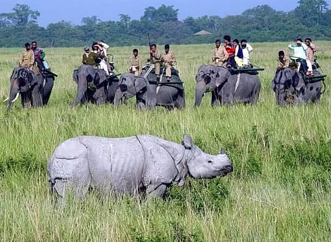 Eco-tourism prospects in Assam