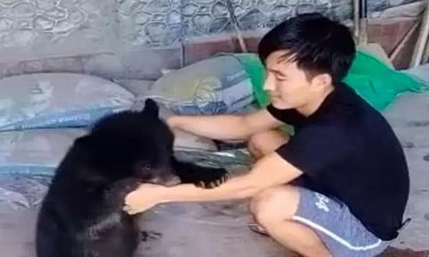 Home reared bear cub handed over to Itanagar Zoo with tearful adieu