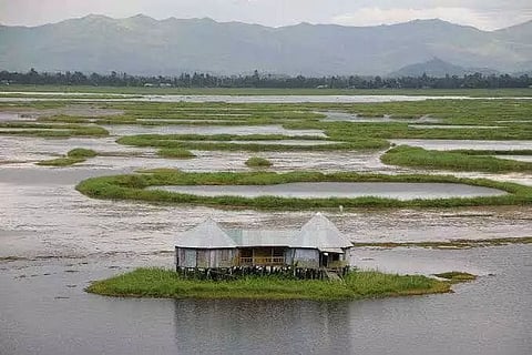 Huge biomass spotted in Manipur's Loktak lake