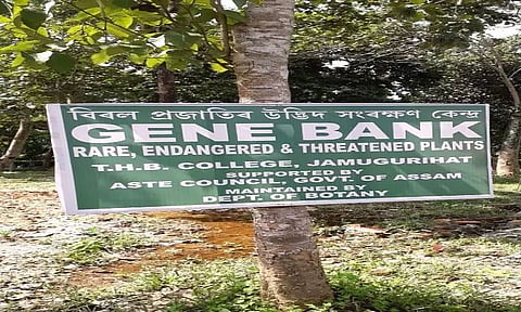 Gene Bank started at Tyagbir Hem Baruah College in Jamugurihat